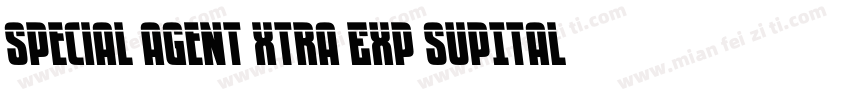 Special Agent Xtra Exp SupItal Regu字体转换